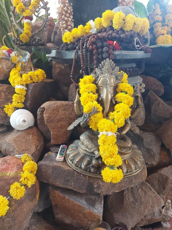 photo 2026 01 12 03 26 36